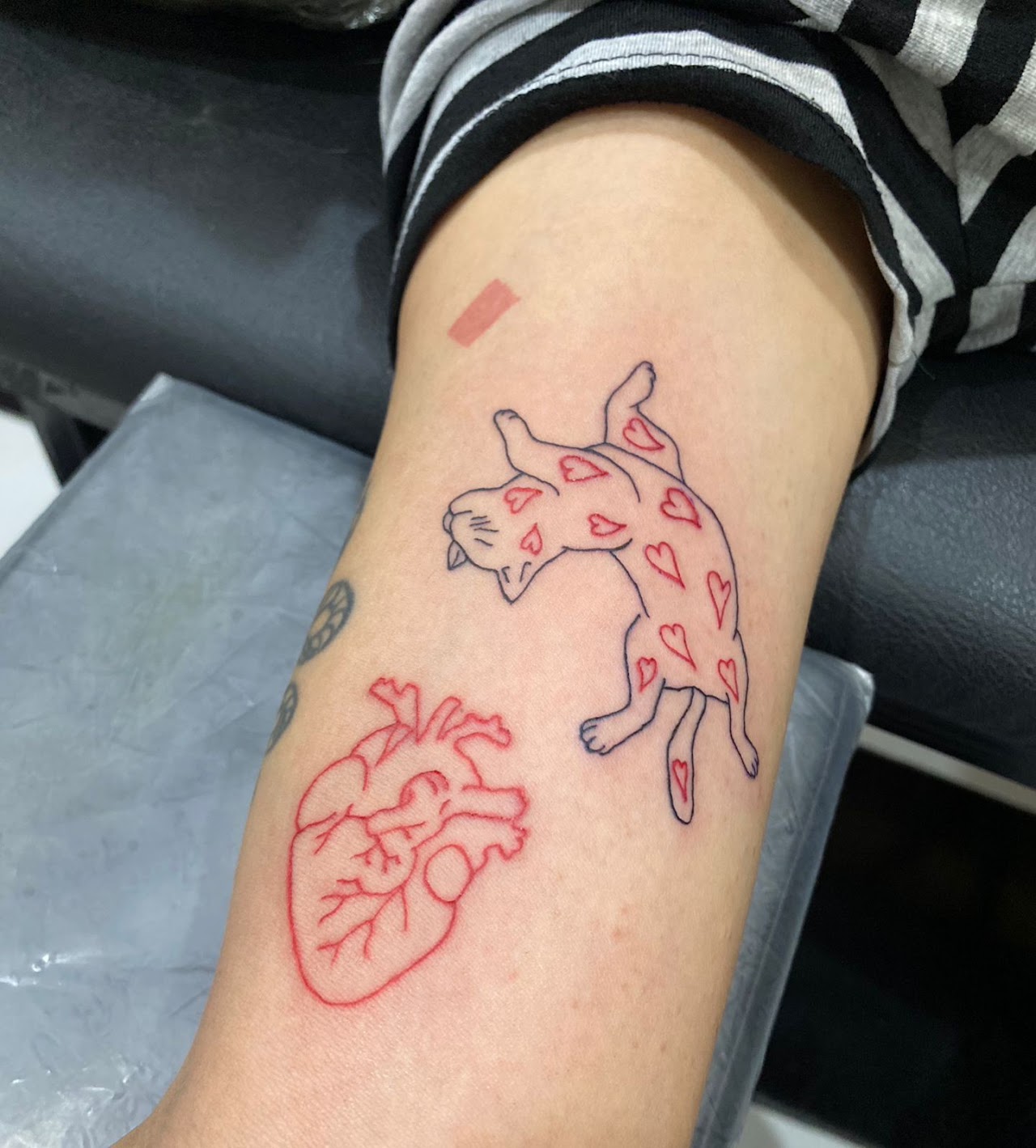 Tatuaje en antebrazo con patrones lineales y puntillismo de precisión
